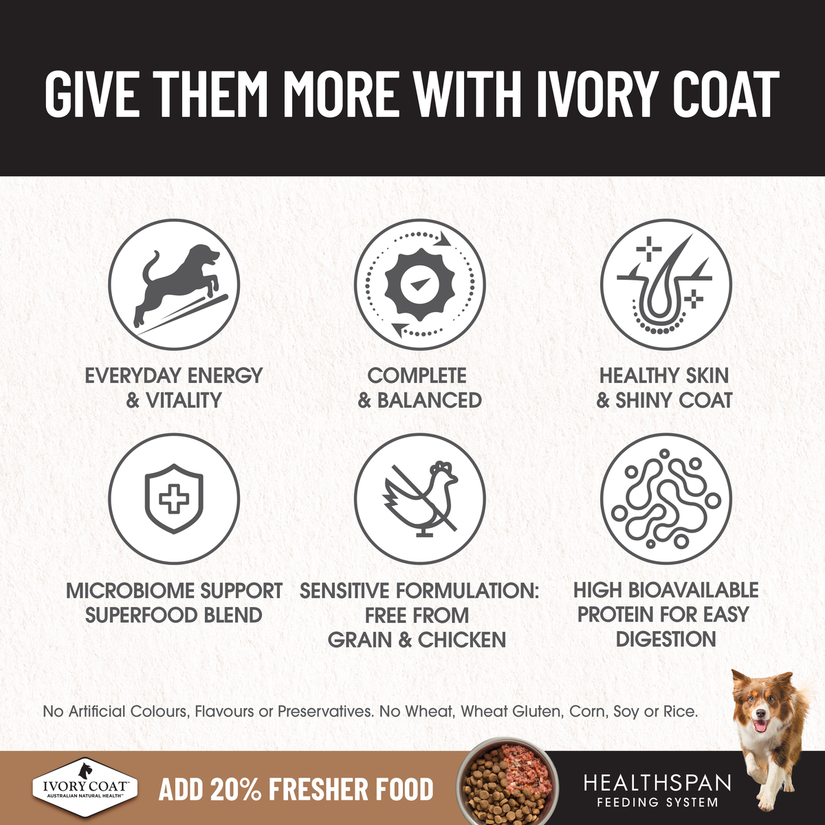 Ivory Coat Adult Grain Free Ocean Fish 13kg