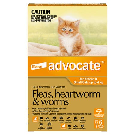 Advocate Cat Small Orange 6pk