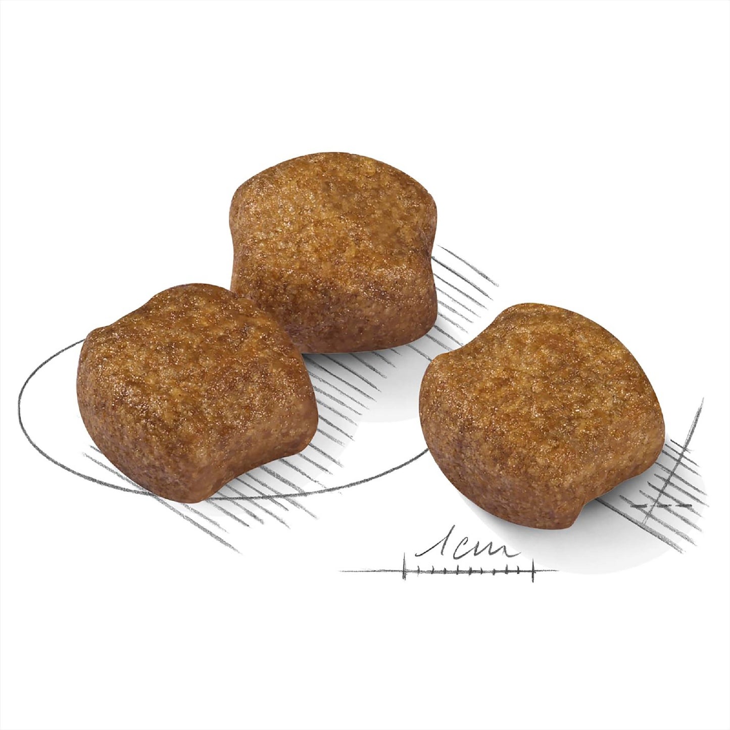 Royal Canin Medium Dental Care 3kg