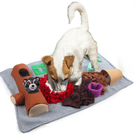 AFP Dig It Play and Treat Mat With Raccoon