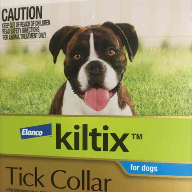 Kiltix Dog Collar