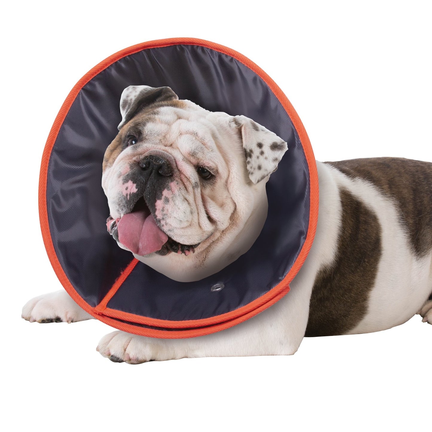 Comfy Vet Collar Cone Medium