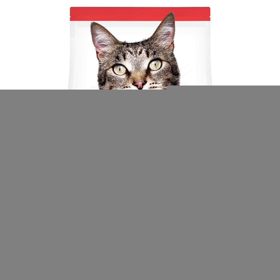 Hills Science Diet Cat Original 2kg