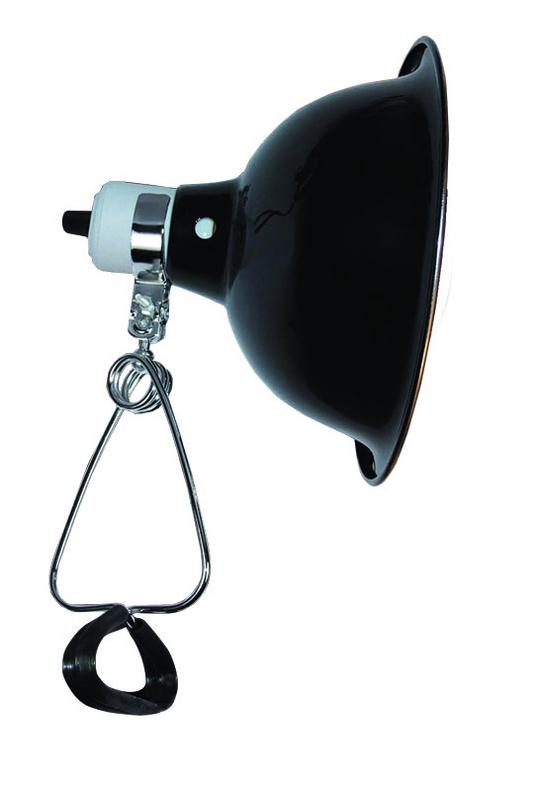 Anarchy Clamp Lamp Med22cm