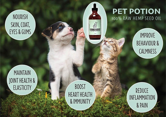 Hemp For Dogs & Cats - Healthy Alternative?