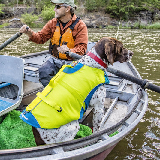 Hiking & Camping with Pets in Australia: A Complete Guide