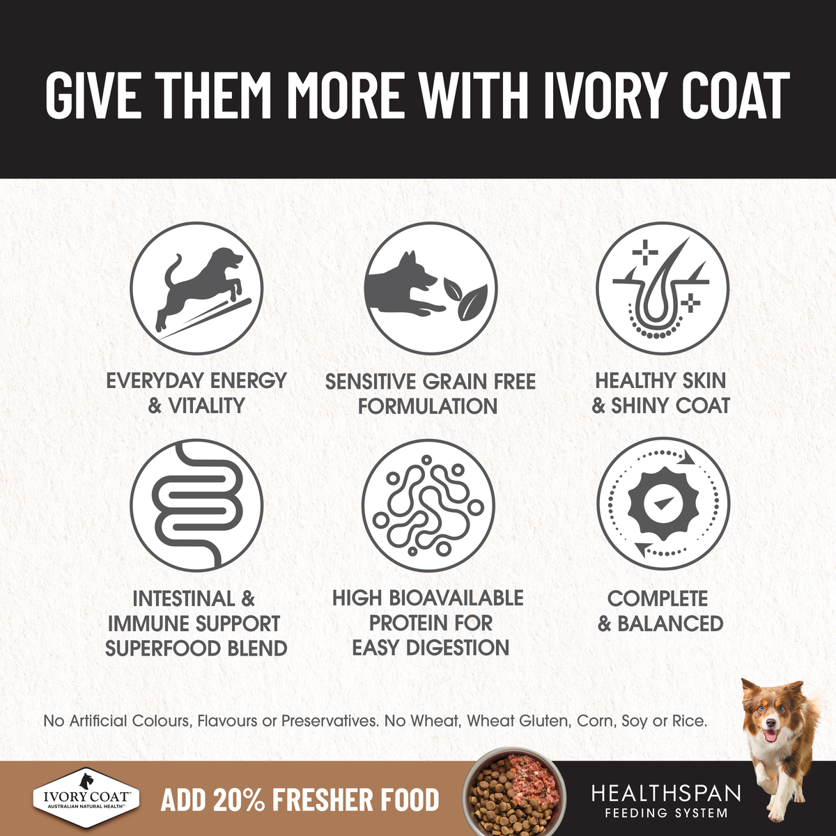 Ivory Coat Ault Grain Free Lamb & Roo 13kg