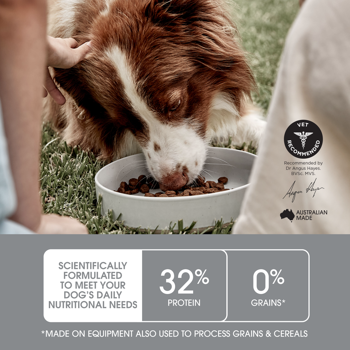 Ivory Coat Raw Puppy Immunity 1.8kg