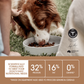 Ivory Coat Puppy Grain Free Chicken 2kg