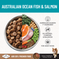 Ivory Coat Adult Grain Free Ocean Fish 13kg