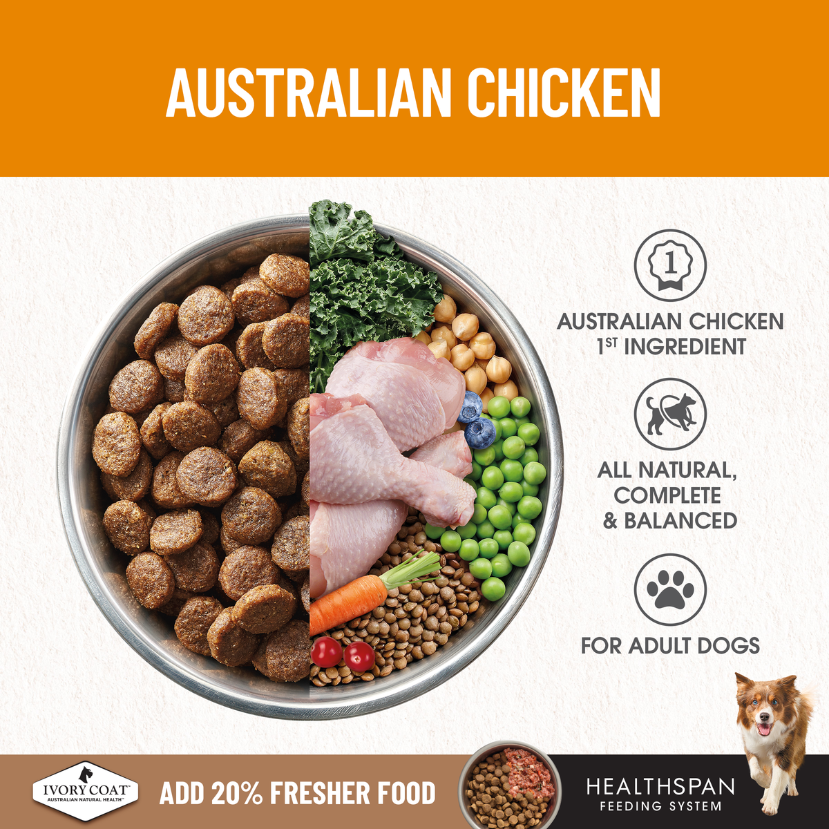 Ivory Coat Adult Grain Free Chicken 2kg