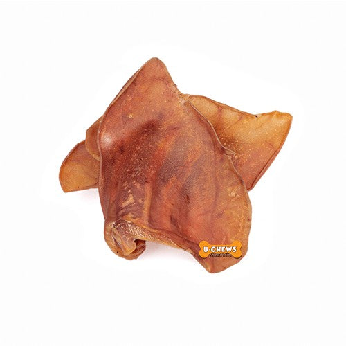 Pigs Ears Single