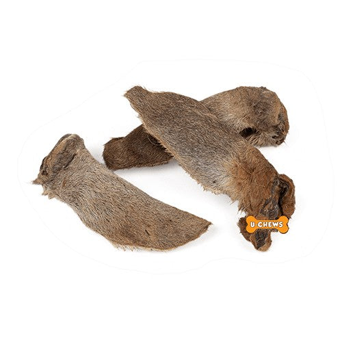 UCHEWS Kangaroo Ear Single