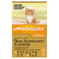 Advocate Cat Small Orange 6pk