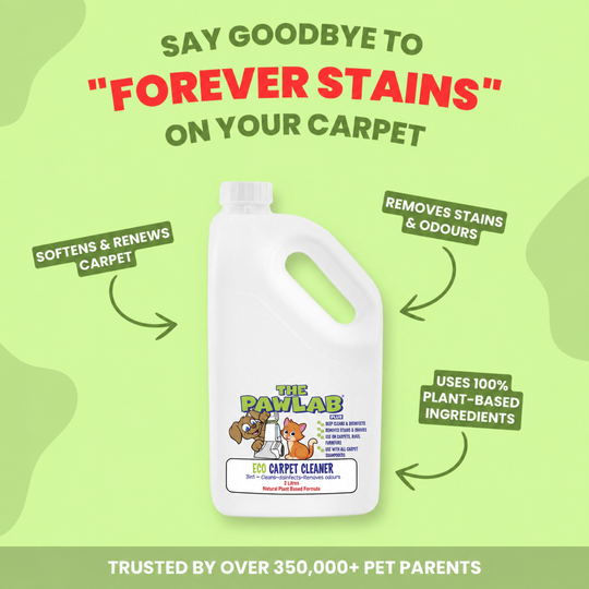 Pawlab - Eco Carpet Shampoo Cleaner