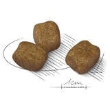 Royal Canin Mini Dental Care 3kg