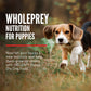 Orijen Dog Puppy 2kg