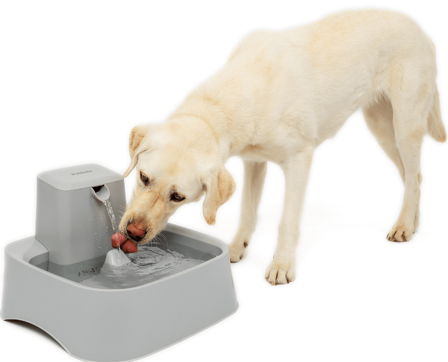 Drinkwell Pet Fountain 7.5L