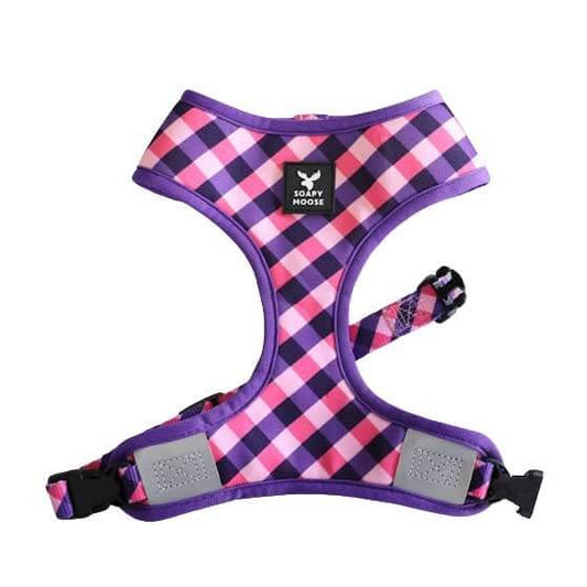 Soapy Moose Harness Fashionista Xs