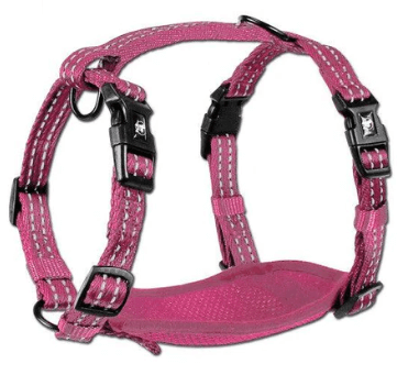Alcott Adventure Nylon Harness Set Large Pink