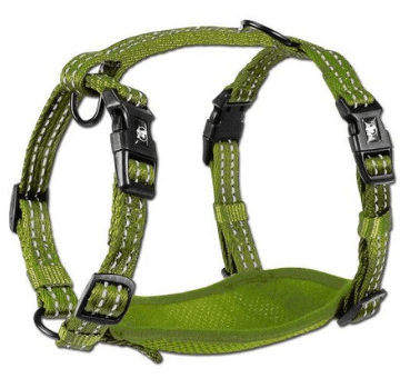 Alcott Adventure Nylon Harness Set Medium Green