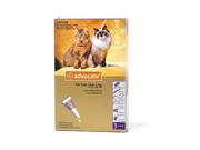 Advocate Cat Large Purple Over 4kg 3pack