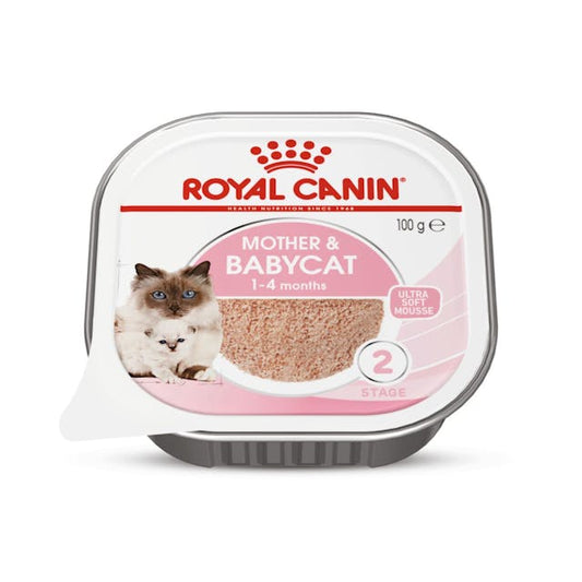 RC MOTHER AND BABY CAT TRAY 100G