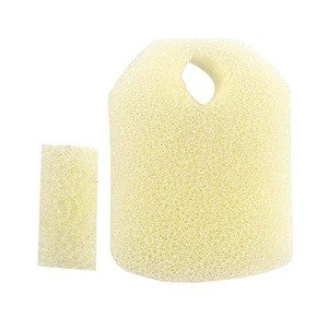All Fur You Seashell Fountian Sponge Kit