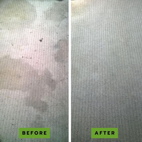 Pawlab - Eco Carpet Shampoo Cleaner