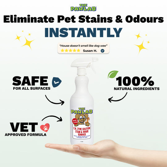 Pawlab - Urine Stain & Odour Remover 1l