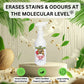 Pawlab - Urine Stain & Odour Remover 1l