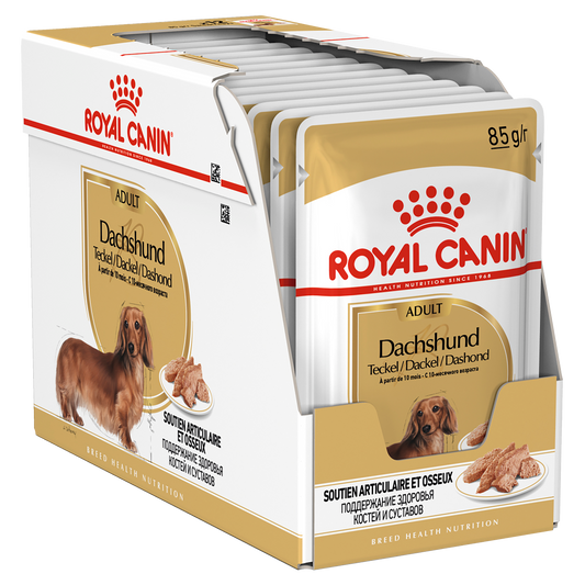 Pack Of Royal Canin Dachshund Box 12pk