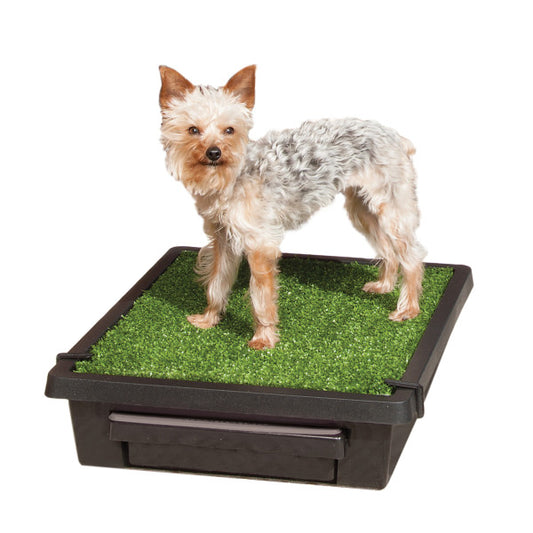 Pet Loo Small
