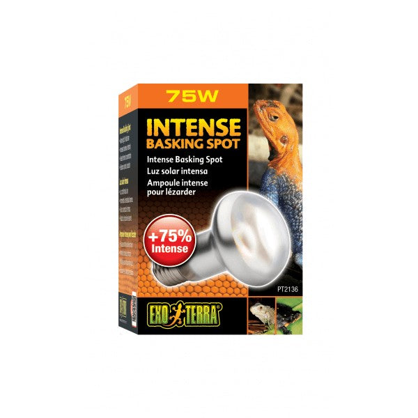 Exo Terra Intense Repti Basking Spot Lamp - 75 Watt