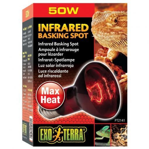 Exo Terra Heat Glo Infrared Heat Lamp - 50 Watt