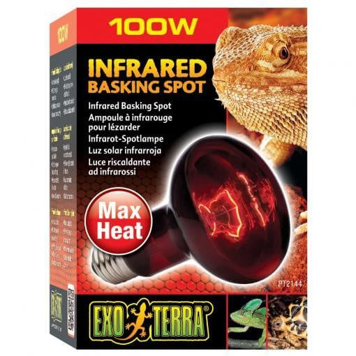 Exo Terra Heat Glo Infrared Heat Lamp - 100 Watt