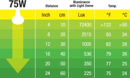 Exo Terra Sun Glo Swamp Glo Basking Spot Bulb - 75 Watt