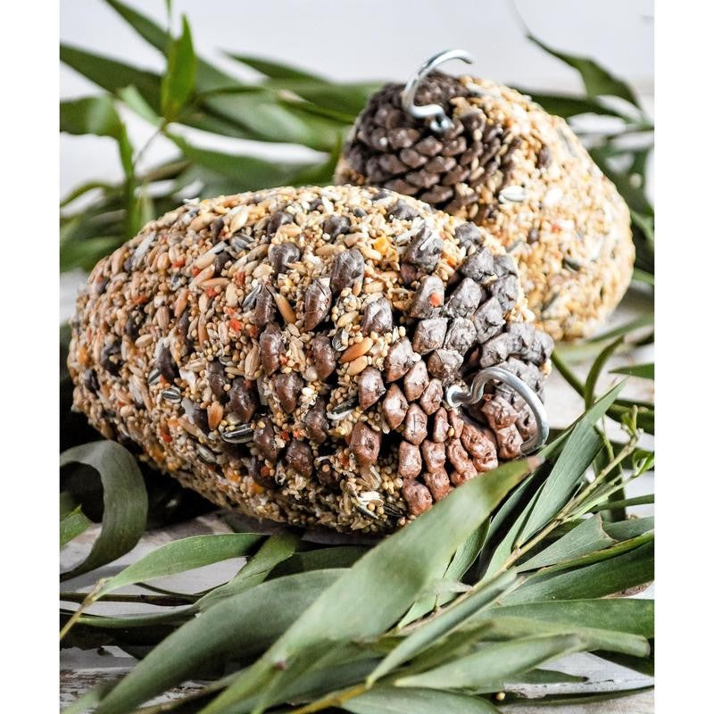 Forage Parrot Pinecone Small