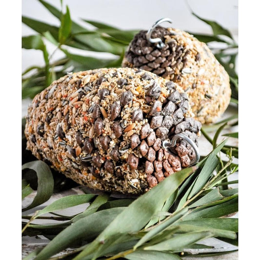 Forage Parrot Pinecone Large