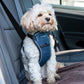 Company Of Animals Carsafe Crash Tested Harness Blue Small