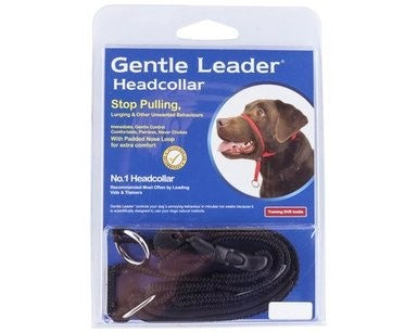 Gentle Leader Small Black