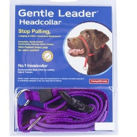 Gentle Leader Small Purple