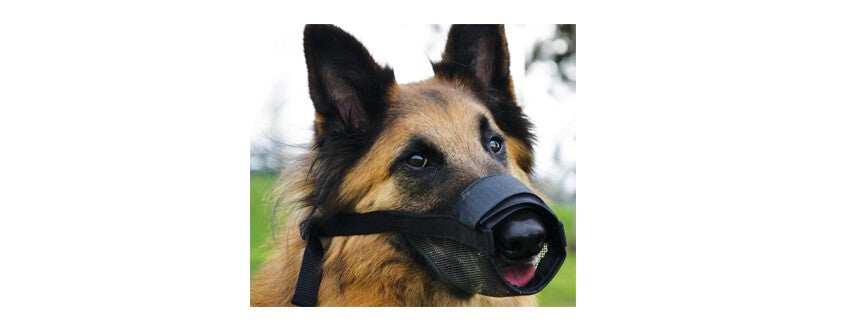 Beau Pet Adjustable Dog Muzzle Black Medium