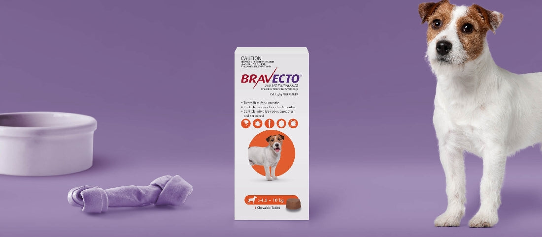 Bravecto Small Dog Orange Chewable >4.5-10kg