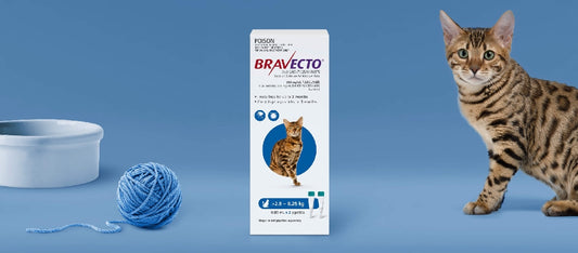 Bravecto Cats 2.8-6.25kg