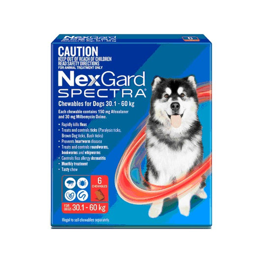 Nexgard Spectra 30.1-60kg 6pack