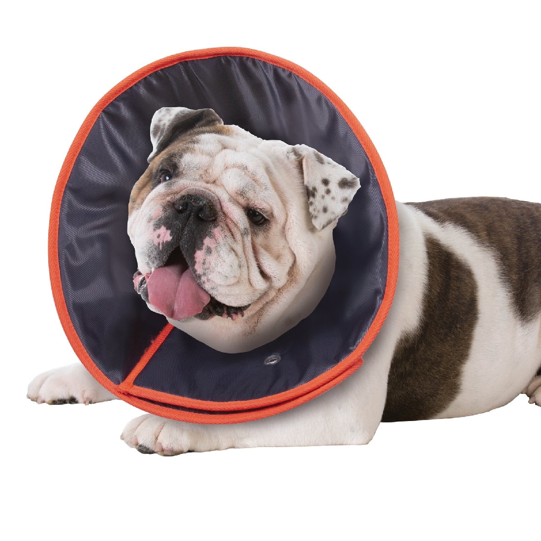 Comfy Vet Collar Cone X-Large