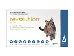 Revolution Cat Blue 3pk
