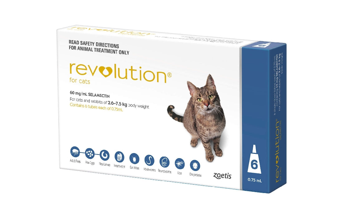 Revolution Cat Blue 6pk